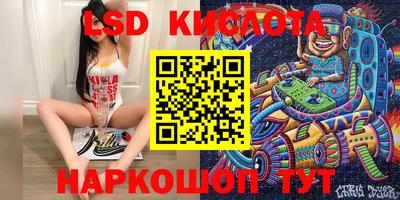 apvp Канаш