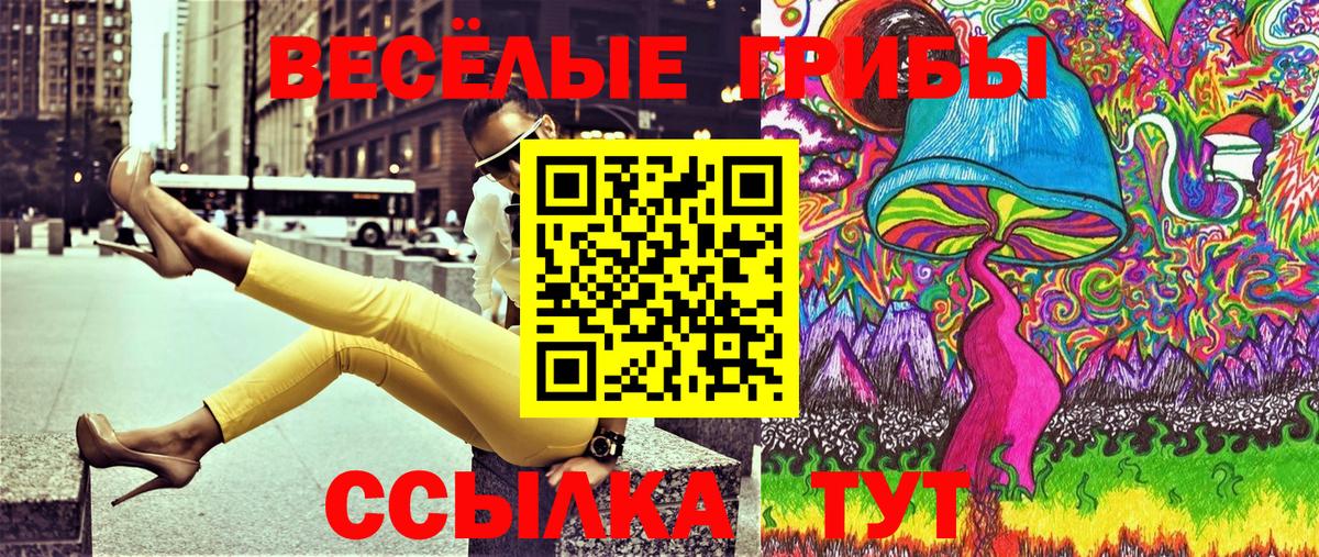 Галлюциногенные грибы прущие грибы  Вход с VPN  Котовск  Галлюциногенные грибы мухоморы 